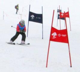 Peca tekmovanje 2018 (3)